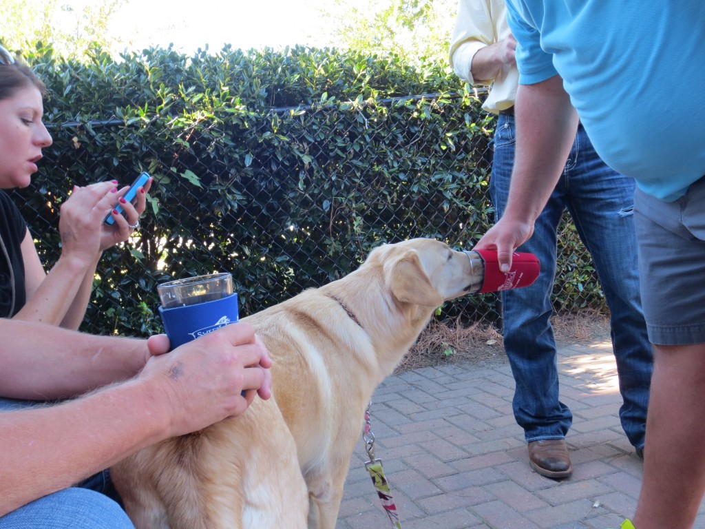 EVERYONE enjoyed their beer!