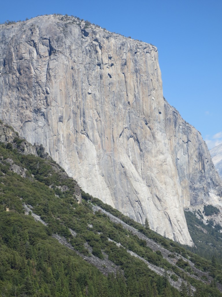 El Capitan often has climbers but none were to be found this day.