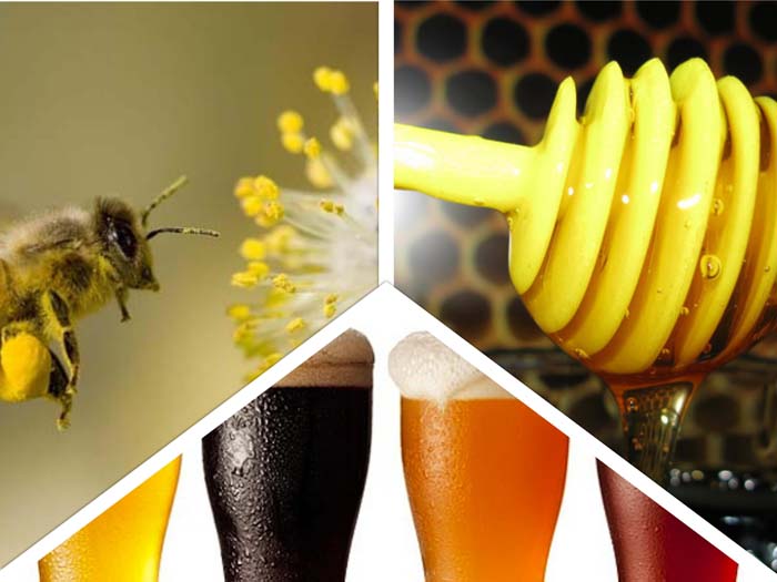 Everything you need to know about beers, bees and honey | DRAFT Magazine