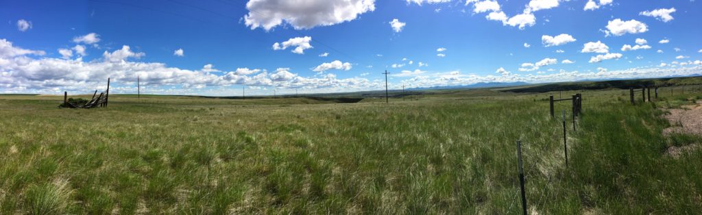 Prairie view in Montana