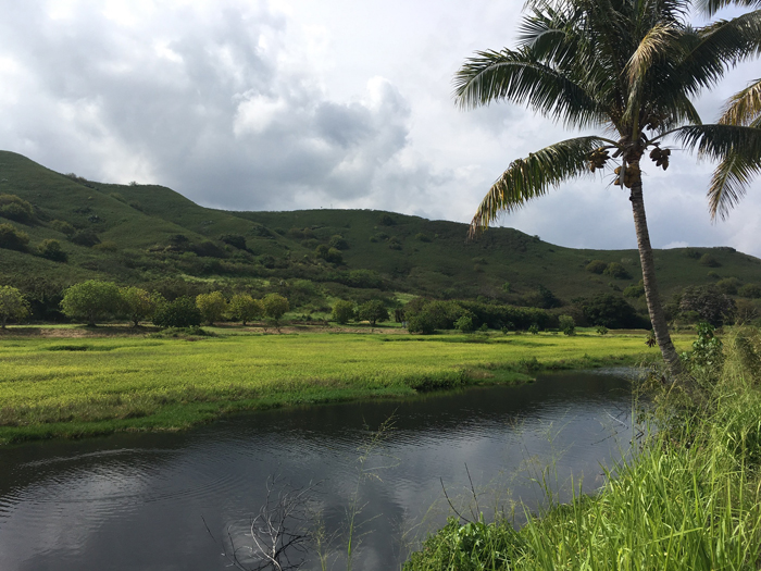 Lanikai Brewing Company